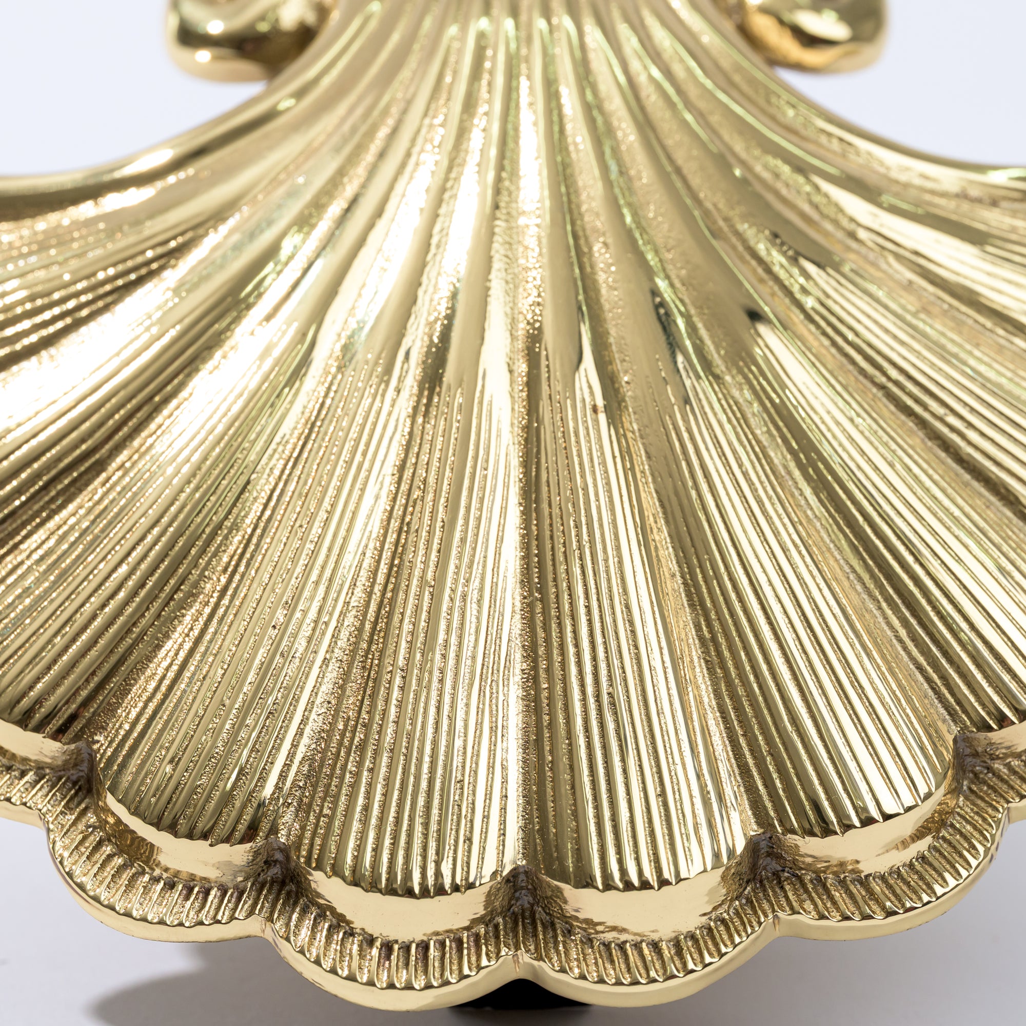 Tidewater Shell Door Knocker Hand Chiseled