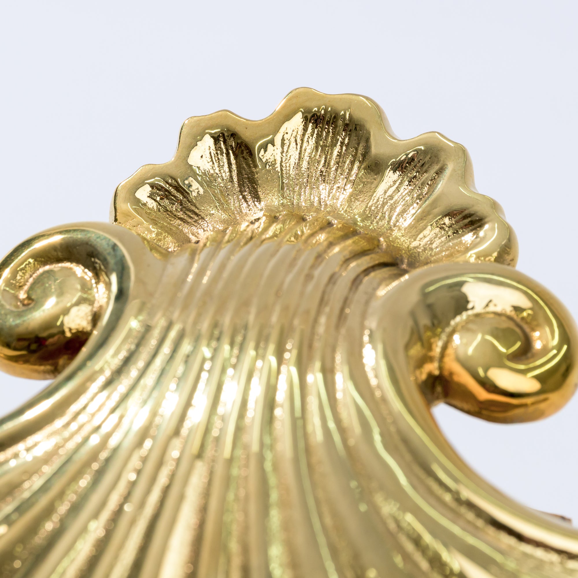Tidewater Shell Door Knocker Hand Chiseled