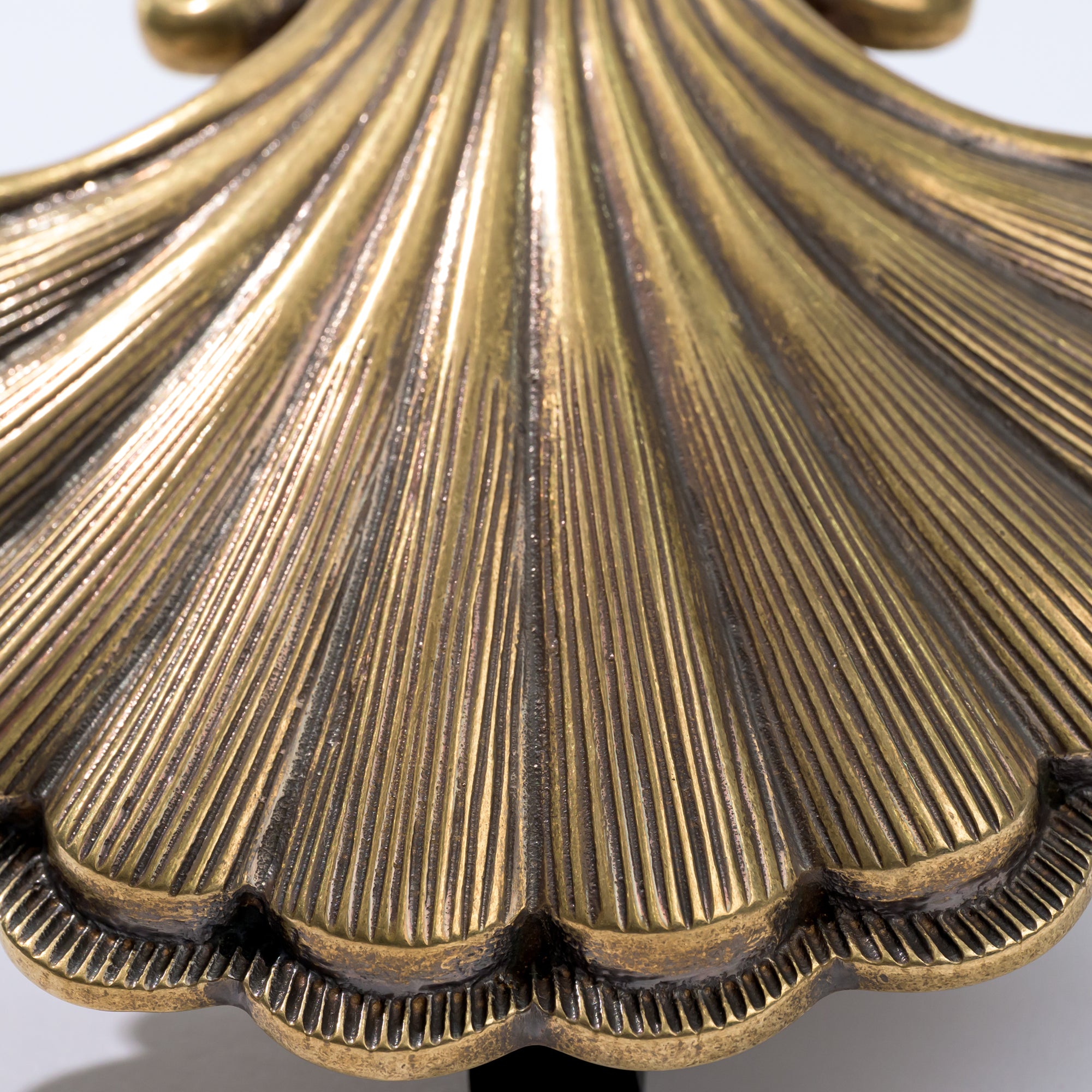 Tidewater Shell Door Knocker Hand Chiseled