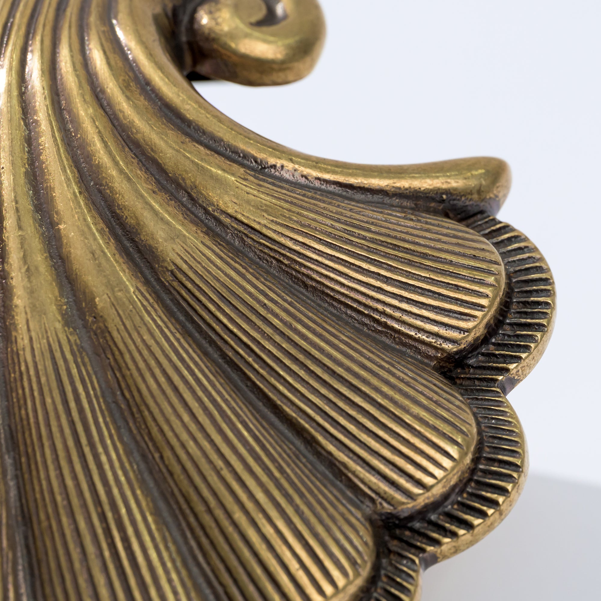 Tidewater Shell Door Knocker Hand Chiseled
